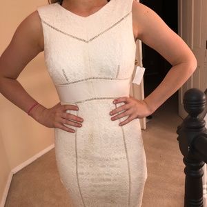 Antonio Melani Cream Lace detail Dress